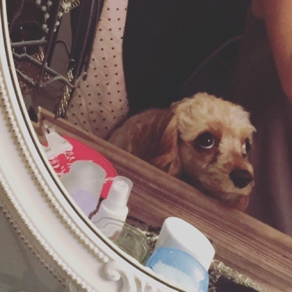 Meet Your Posher *Amber* - Picture 5 of 5